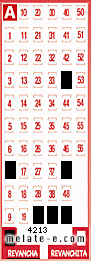 Volante ganador del sorteo 4213 de Revancha