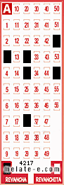 Volante ganador del sorteo 4217 de Revancha