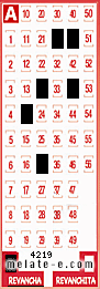 Volante ganador del sorteo 4219 de Revancha