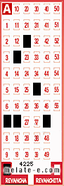 Volante ganador del sorteo 4225 de Revancha