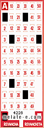 Volante ganador del sorteo 4228 de Revancha
