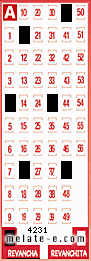 Volante ganador del sorteo 4231 de Revancha