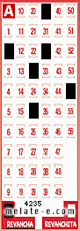 Volante ganador del sorteo 4235 de Revancha