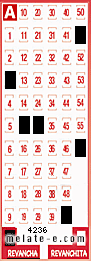 Volante ganador del sorteo 4236 de Revancha