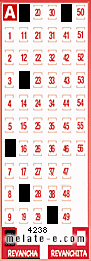 Volante ganador del sorteo 4238 de Revancha