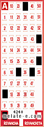 Volante ganador del sorteo 4240 de Revancha