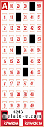 Volante ganador del sorteo 4243 de Revancha