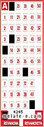 Volante ganador del sorteo 4245 de Revancha