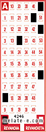 Volante ganador del sorteo 4246 de Revancha