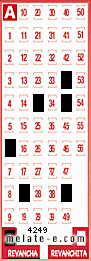 Volante ganador del sorteo 4249 de Revancha