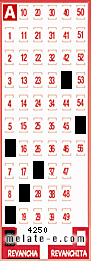 Volante ganador del sorteo de Revancha con fecha del domingo   9 de agosto de 2026