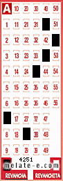 Volante ganador del sorteo 4251 de Revancha