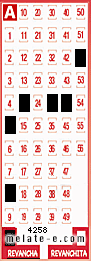 Volante ganador del sorteo 4258 de Revancha