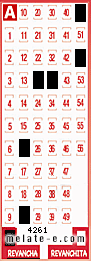 Volante ganador del sorteo 4261 de Revancha
