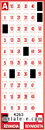 Volante ganador del sorteo 4263 de Revancha