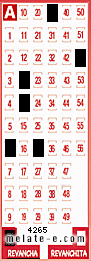 Volante ganador del sorteo 4265 de Revancha