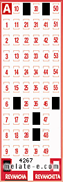 Volante ganador del sorteo 4267 de Revancha