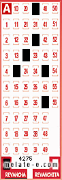 Volante ganador del sorteo 4275 de Revancha