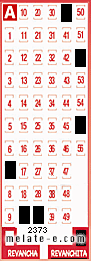 Volante ganador del sorteo 2373 de Revanchita