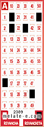 Volante ganador del sorteo 2389 de Revanchita