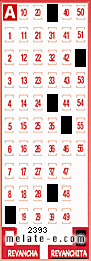 Volante ganador del sorteo 2393 de Revanchita