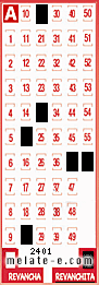 Volante ganador del sorteo 2401 de Revanchita
