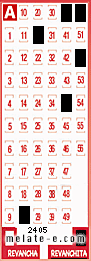 Volante ganador del sorteo 2405 de Revanchita