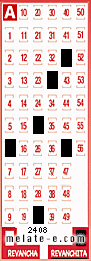 Volante ganador del sorteo 2408 de Revanchita