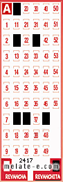 Volante ganador del sorteo 2417 de Revanchita