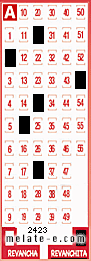 Volante ganador del sorteo 2423 de Revanchita