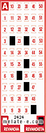 Volante ganador del sorteo 2424 de Revanchita