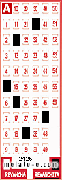 Volante ganador del sorteo 2425 de Revanchita