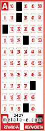 Volante ganador del sorteo 2427 de Revanchita