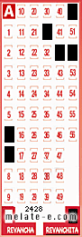 Volante ganador del sorteo 2428 de Revanchita
