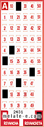Volante ganador del sorteo 2431 de Revanchita