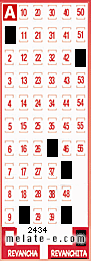 Volante ganador del sorteo 2434 de Revanchita