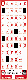 Volante ganador del sorteo 2438 de Revanchita