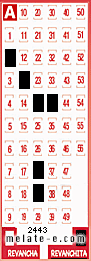 Volante ganador del sorteo 2443 de Revanchita