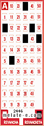 Volante ganador del sorteo 2446 de Revanchita