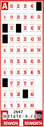 Volante ganador del sorteo 2447 de Revanchita