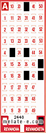 Volante ganador del sorteo 2448 de Revanchita