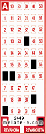 Volante ganador del sorteo 2449 de Revanchita