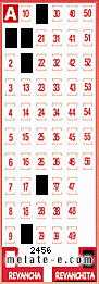 Volante ganador del sorteo 2456 de Revanchita