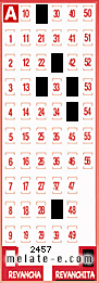 Volante ganador del sorteo 2457 de Revanchita