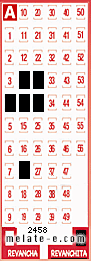 Volante ganador del sorteo 2458 de Revanchita