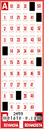 Volante ganador del sorteo 2459 de Revanchita