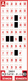 Volante ganador del sorteo 2460 de Revanchita