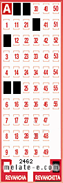 Volante ganador del sorteo 2462 de Revanchita