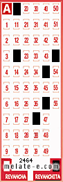 Volante ganador del sorteo 2464 de Revanchita