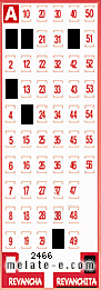 Volante ganador del sorteo 2466 de Revanchita